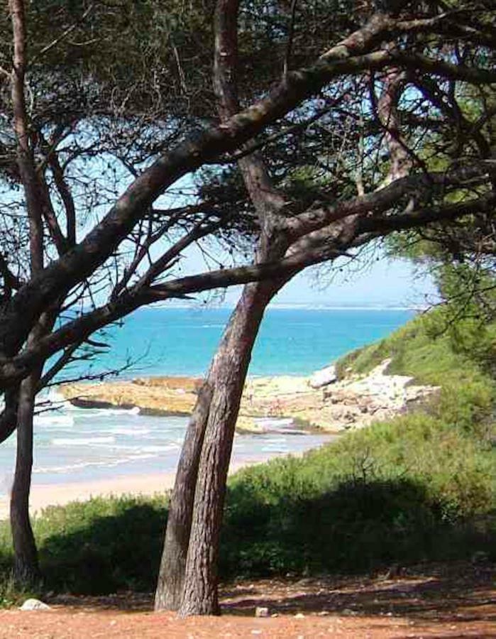 Vakantiehuis Calipso Tamarit *